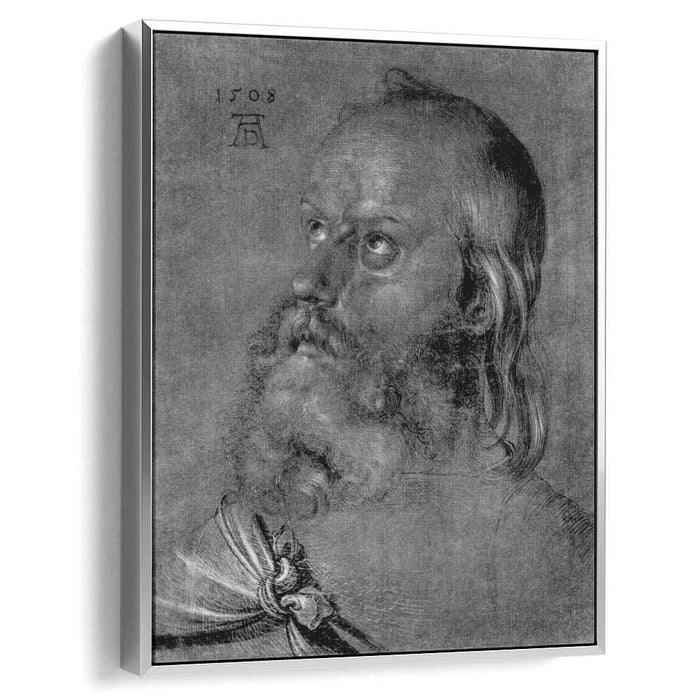 Head of an apostle (1508) by Albrecht Durer