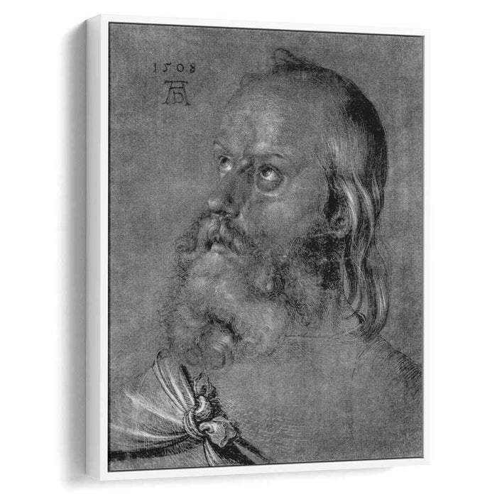 Head of an apostle (1508) by Albrecht Durer