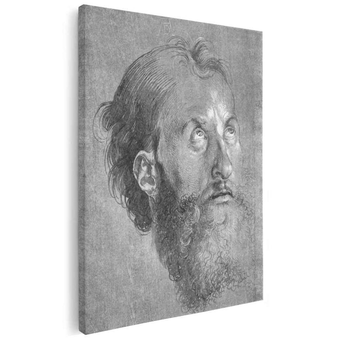 Head of an Apostle Looking Upward (1508) by Albrecht Durer