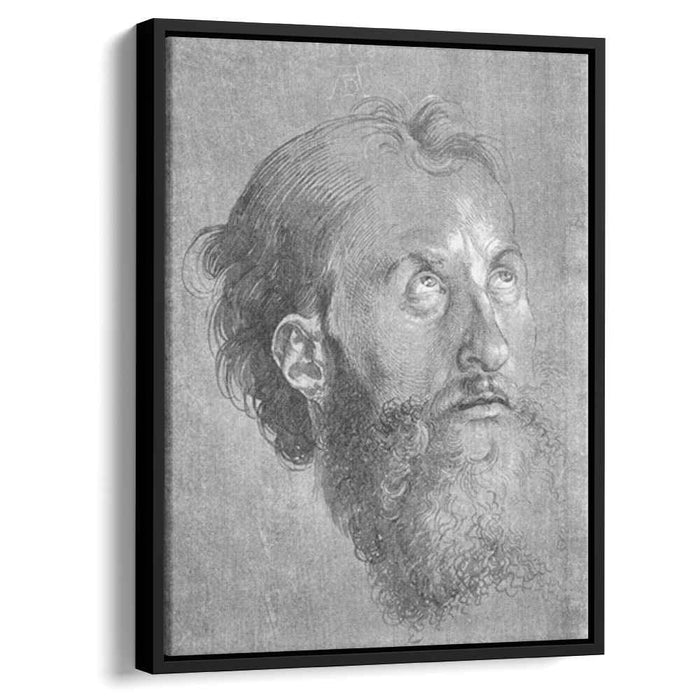 Head of an Apostle Looking Upward (1508) by Albrecht Durer