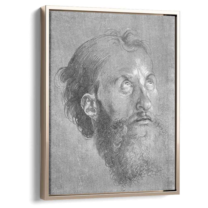 Head of an Apostle Looking Upward (1508) by Albrecht Durer