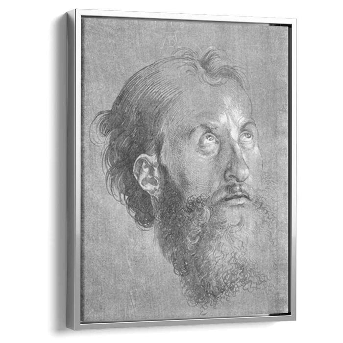 Head of an Apostle Looking Upward (1508) by Albrecht Durer