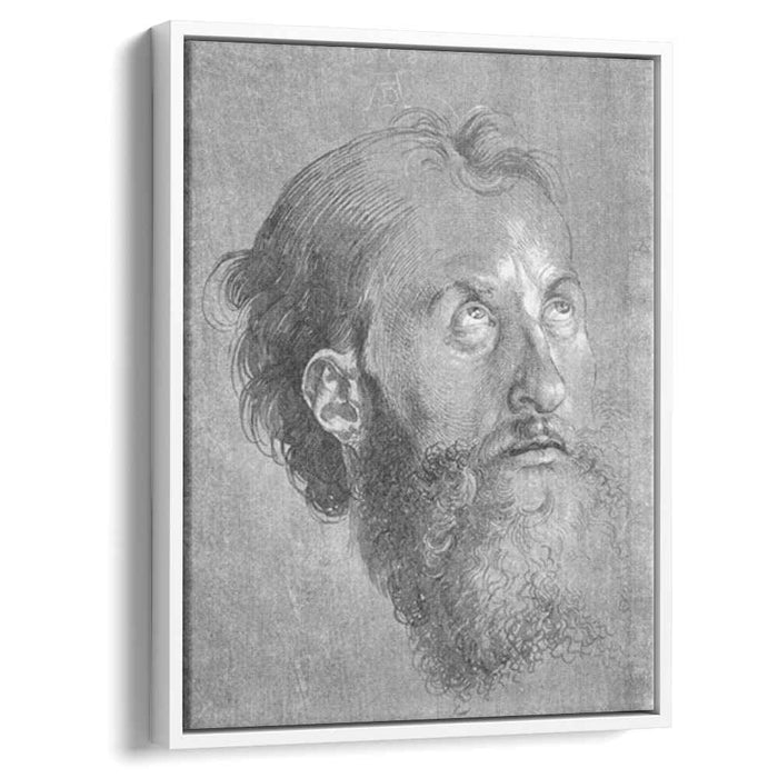 Head of an Apostle Looking Upward (1508) by Albrecht Durer