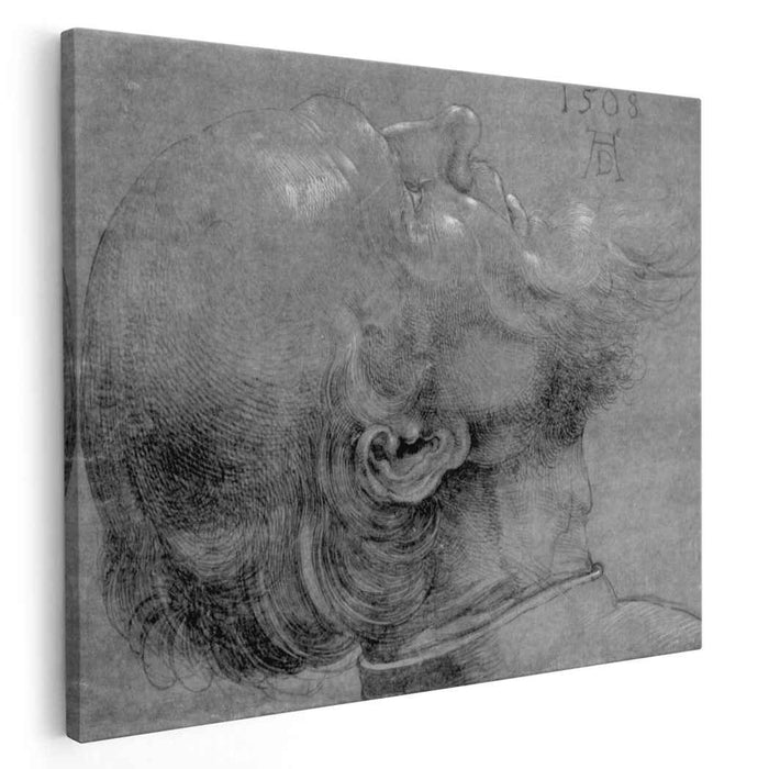 Head of an apostle (1508) by Albrecht Durer