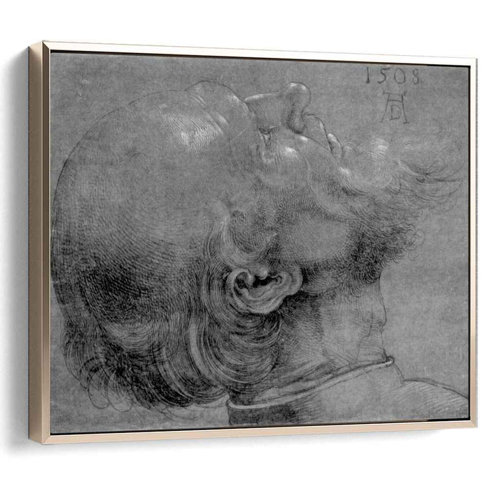 Head of an apostle (1508) by Albrecht Durer