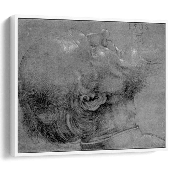 Head of an apostle (1508) by Albrecht Durer