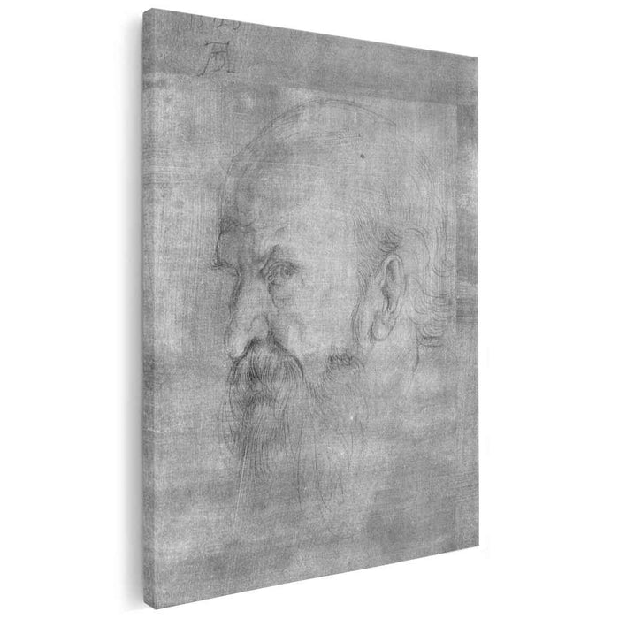 Head of Paul by Albrecht Durer
