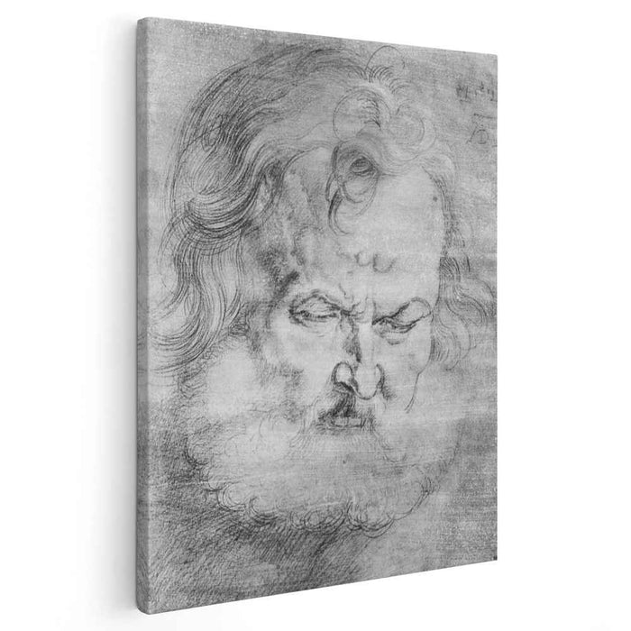 Head of Peter (1526) by Albrecht Durer