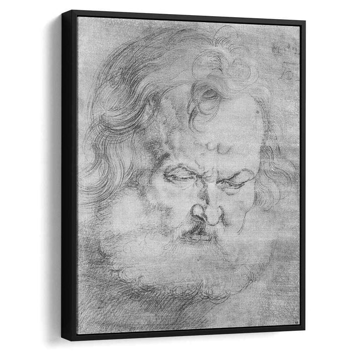 Head of Peter (1526) by Albrecht Durer