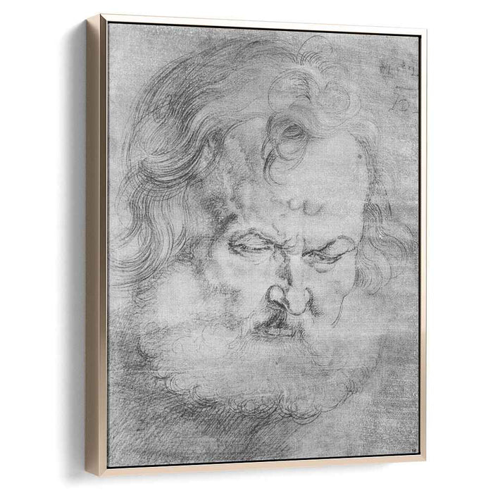 Head of Peter (1526) by Albrecht Durer
