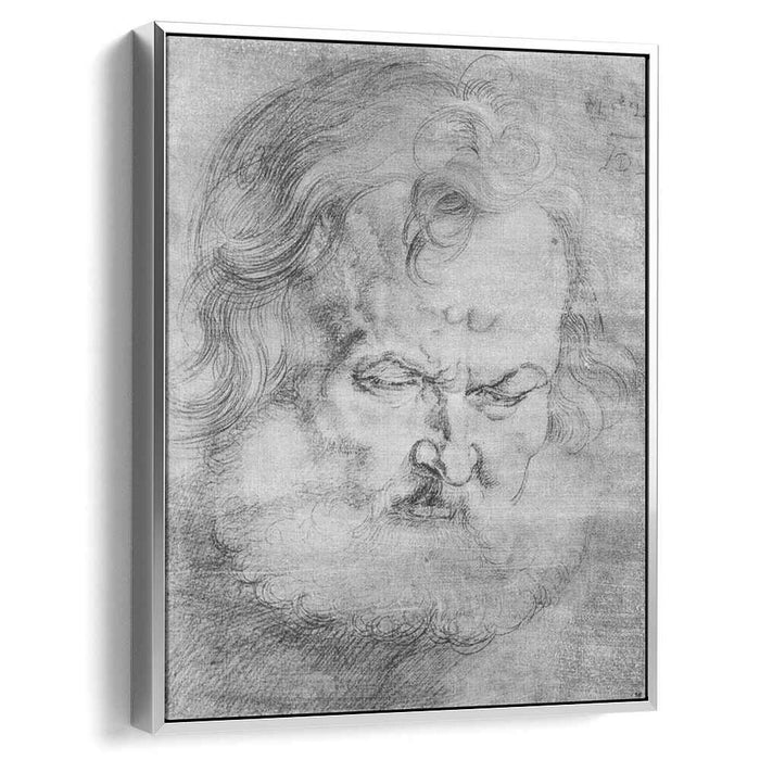 Head of Peter (1526) by Albrecht Durer