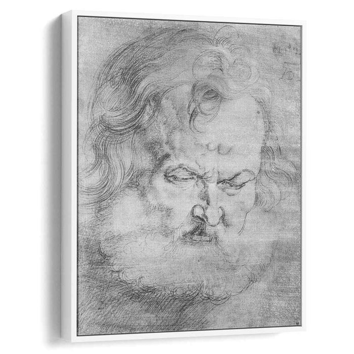 Head of Peter (1526) by Albrecht Durer