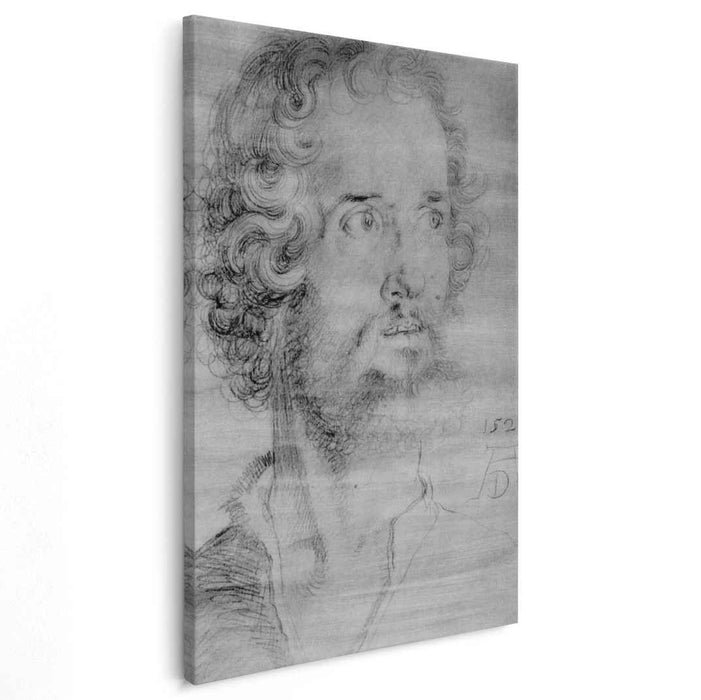 Head of St. Mark (1526) by Albrecht Durer