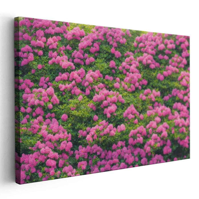 Whispers Under Rose Petals: Lush Garden of Pink Flowers Canvas Art Print