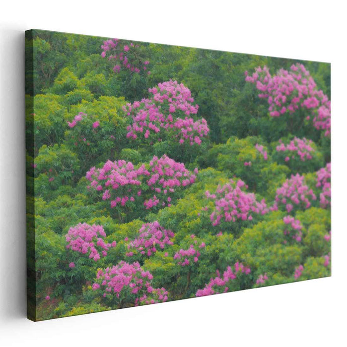 Serene Flora Burst Spectrum: Tranquil Greenery with Vibrant Pink Blooms Canvas Art Print