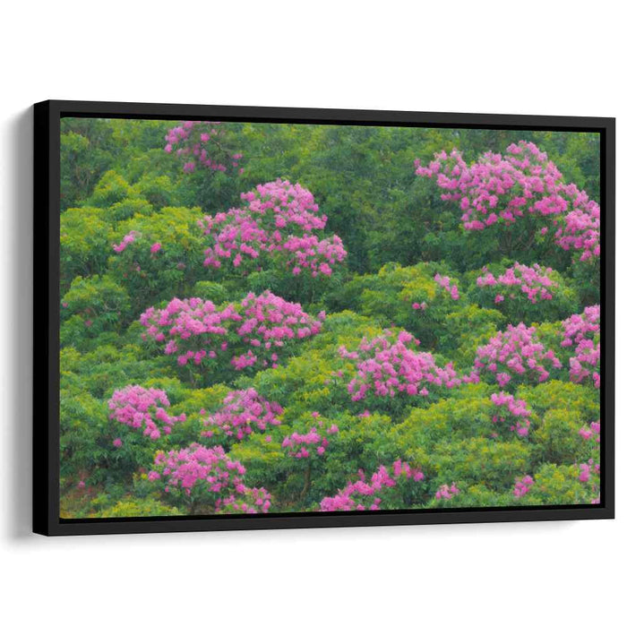 Serene Flora Burst Spectrum: Tranquil Greenery with Vibrant Pink Blooms Canvas Art Print