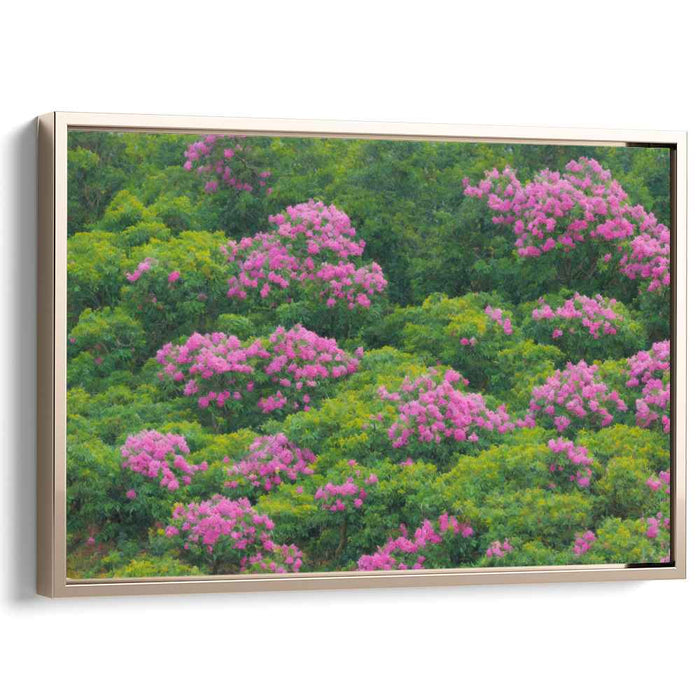 Serene Flora Burst Spectrum: Tranquil Greenery with Vibrant Pink Blooms Canvas Art Print