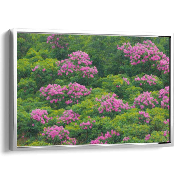 Serene Flora Burst Spectrum: Tranquil Greenery with Vibrant Pink Blooms Canvas Art Print