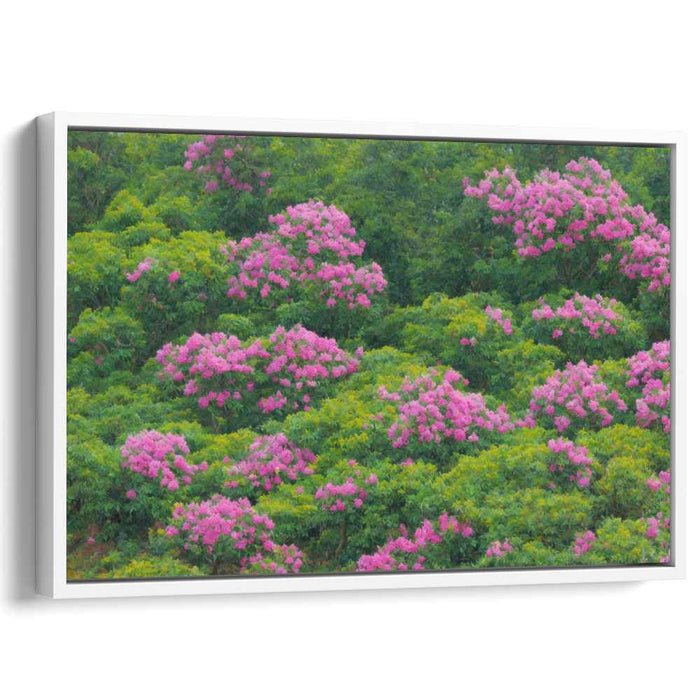 Serene Flora Burst Spectrum: Tranquil Greenery with Vibrant Pink Blooms Canvas Art Print