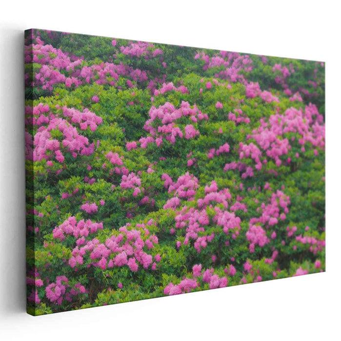 Pink Petal Dreamscape: Lush Pink Flower Field Canvas Art Print