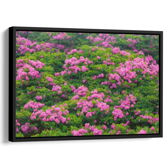 Pink Petal Dreamscape: Lush Pink Flower Field Canvas Art Print