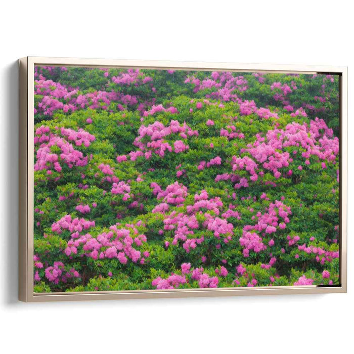 Pink Petal Dreamscape: Lush Pink Flower Field Canvas Art Print