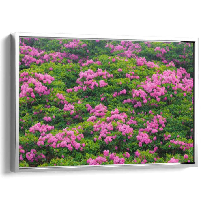 Pink Petal Dreamscape: Lush Pink Flower Field Canvas Art Print
