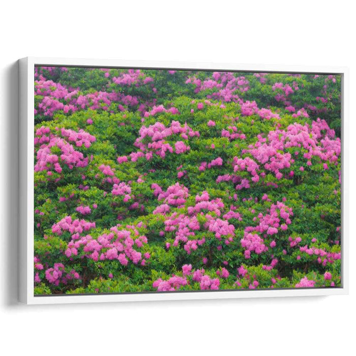 Pink Petal Dreamscape: Lush Pink Flower Field Canvas Art Print