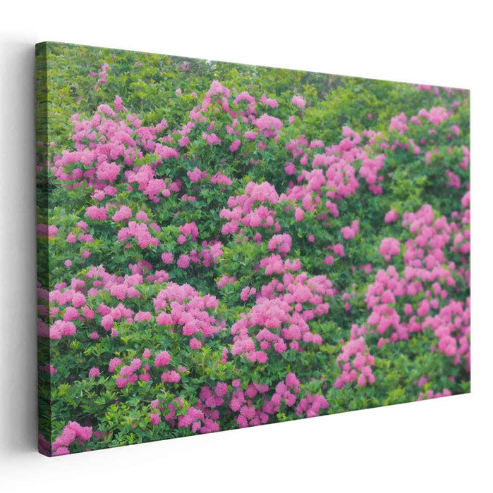 Impressionist Oil Rhododendron #133