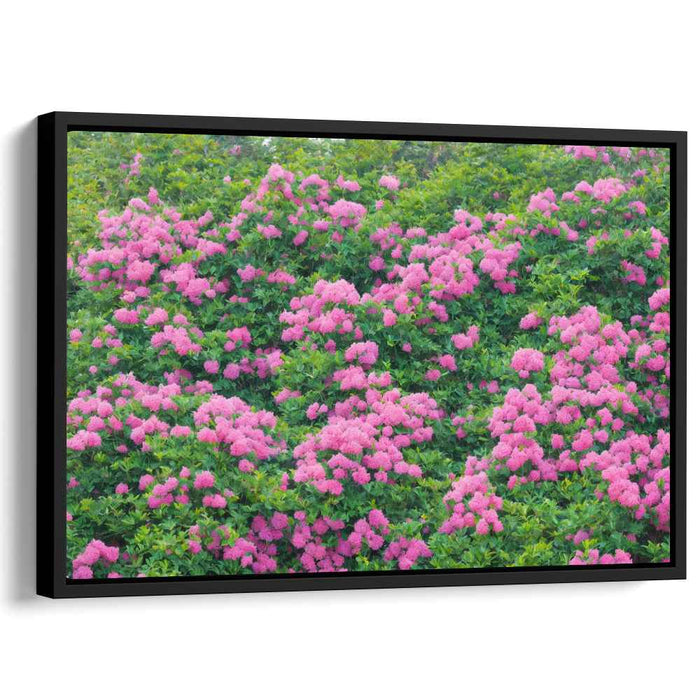 Impressionist Oil Rhododendron #133