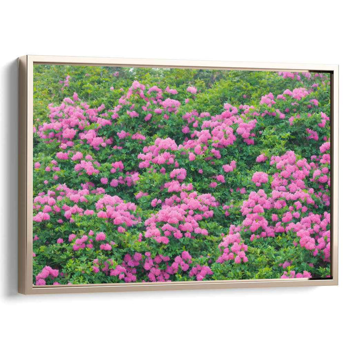 Impressionist Oil Rhododendron #133