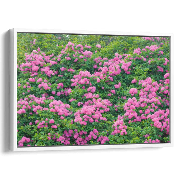 Impressionist Oil Rhododendron #133