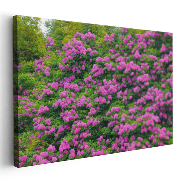 Enchanted Garden Bloom Burst: Vibrant Pink Blossoms in Lush Greenery Canvas Art Print
