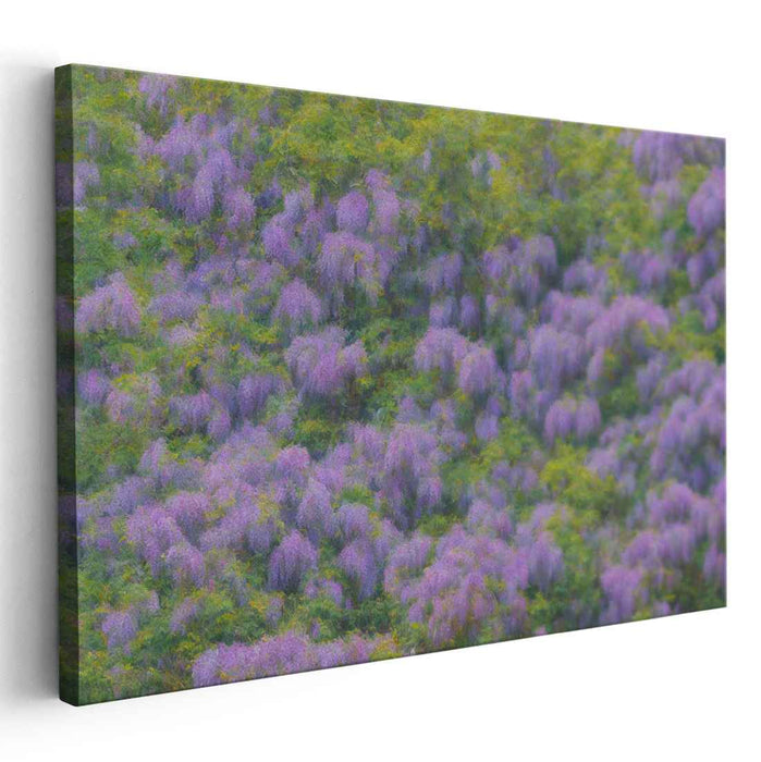 Dreamy Blossom Whispers: Impressionist Wisteria Canvas Art Print