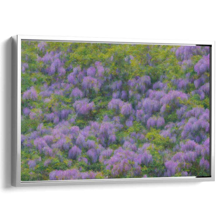 Dreamy Blossom Whispers: Impressionist Wisteria Canvas Art Print