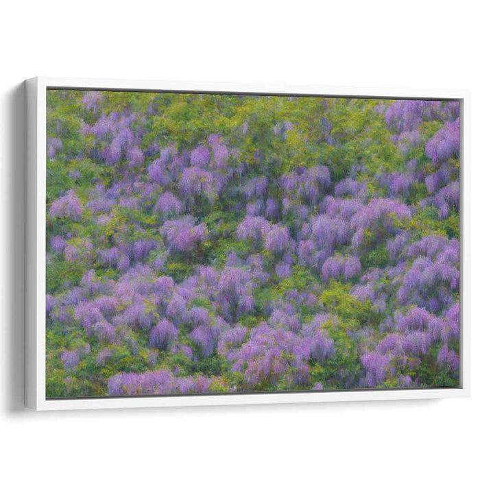 Dreamy Blossom Whispers: Impressionist Wisteria Canvas Art Print