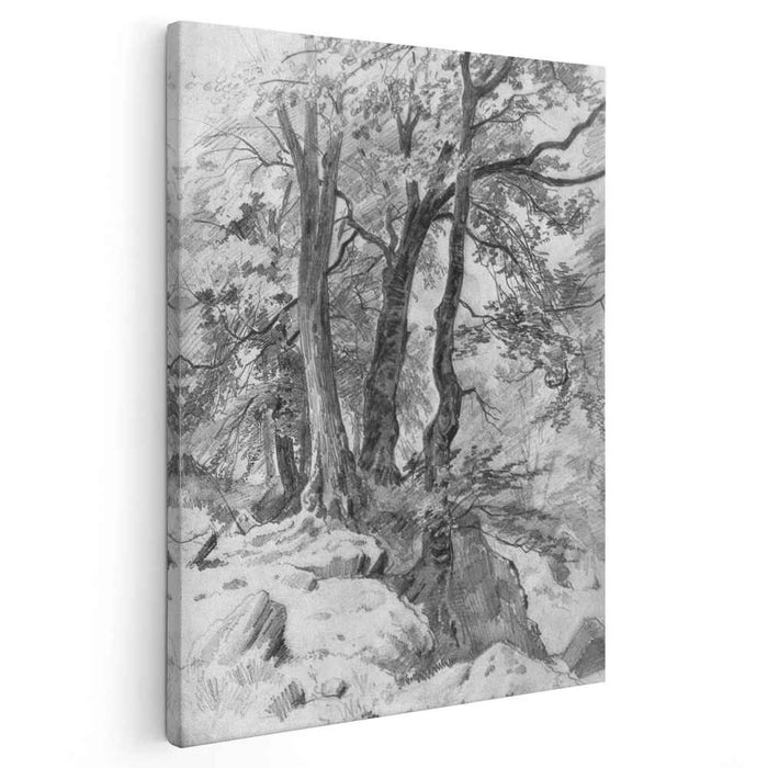 In the forest (1886) by Ivan Shishkin