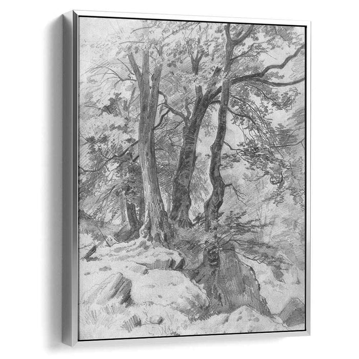 In the forest (1886) by Ivan Shishkin