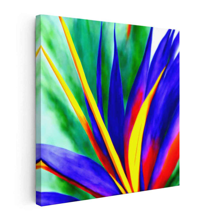 Ink Drawing Birds of Paradise #002