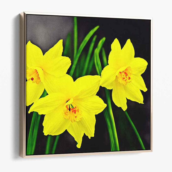 Daffodil Daydreams: Realistic Yellow Daffodils Canvas Art Print