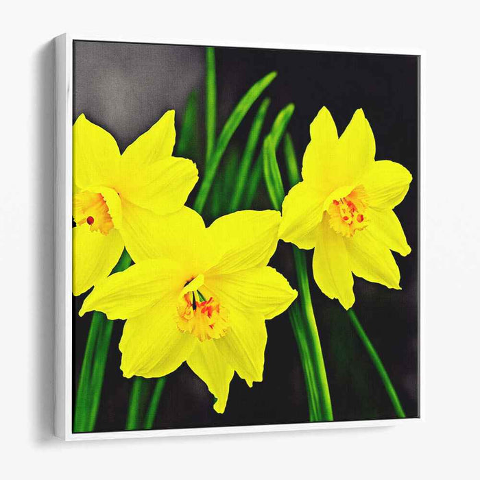 Daffodil Daydreams: Realistic Yellow Daffodils Canvas Art Print