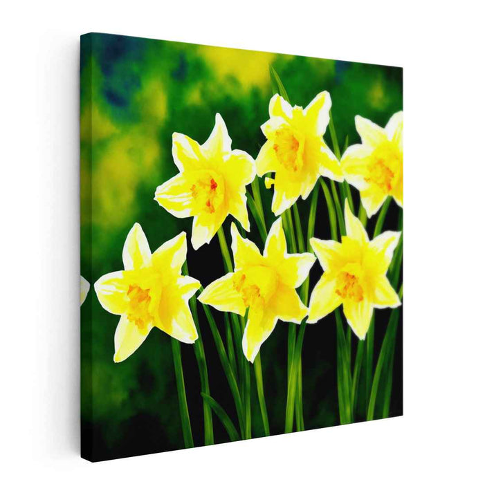 Sunshine Blooms Collection: Bright Yellow Daffodils Canvas Art Print