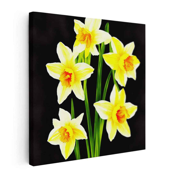 Gilded Petals Night Symphony: Luminous Daffodils on Dark Canvas Art Print