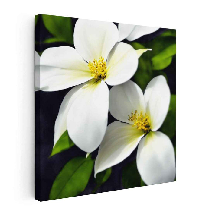 Ink Drawing Dogwood #003