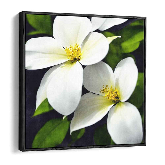 Ink Drawing Dogwood #003