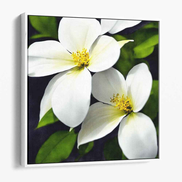 Ink Drawing Dogwood #003