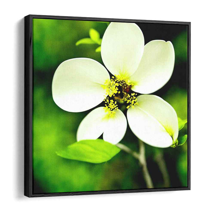 Enchanted Bloom Glow: Luminous White Flower on Emerald Canvas Art Print