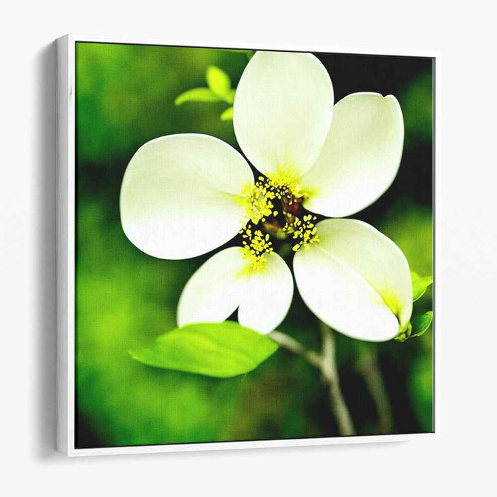 Enchanted Bloom Glow: Luminous White Flower on Emerald Canvas Art Print