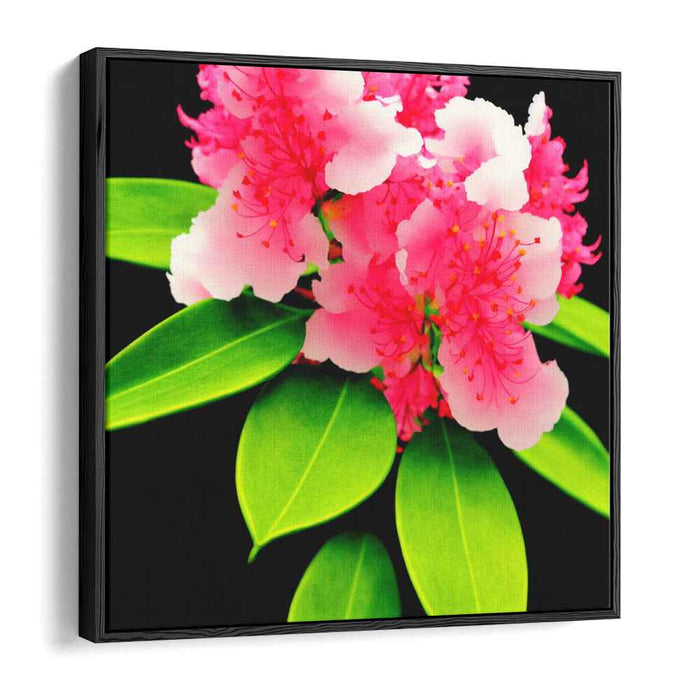 Blooming Rhododendron: Vibrant Rhododendron Flower Canvas Art Print