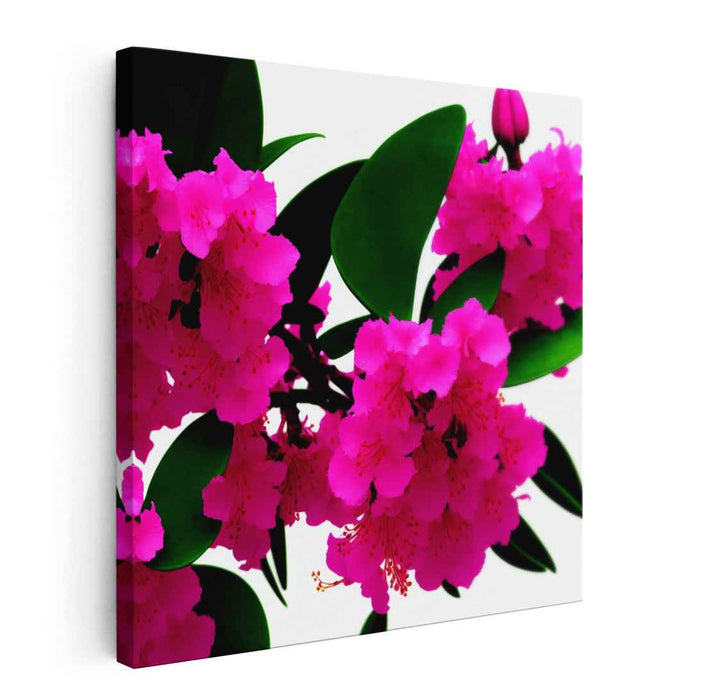 Blossoms in Fuchsia Dreams: Vivid Pink Floral Canvas Art Print